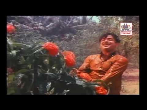 Aayiram Ninaivu song      SPB  Gemini ganesan   Avalukkendru Ore Manam