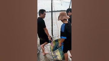 Bao Đăng Vũng Tàu Hôm Nay 10/10/2024 Thủy Triều Rút Bắt Cá Lúc 10h sáng   #baodangvungtau