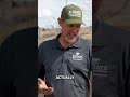 How to Identify Beaver Damage