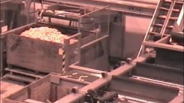 Carrot Packhouse Solutions from Tong Engineering