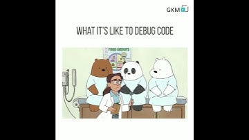 What it is like to debug a code?