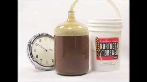 The Riddle of Fermentation