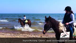 Wakacje w Siodle Nad Samym Morzem