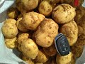 Семенной картофель - проблема фермеров №1.
