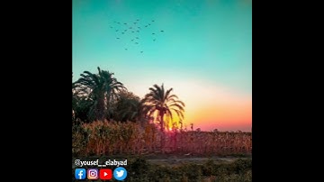 ﴿ والضحى واليل إذا سجى ما ودعك ربك وما قلى ﴾ سورة الضحى / القارئ سالم الرويلي