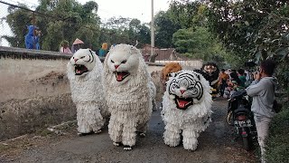 KIRAB CAN MACANAN SINGO MANGGALA DAN DRUMBAND MAONG REMAS DENGAN MACAN DORENG