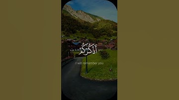 فاذكروني أذكركم - #ماهر_المعيقلـي #كروما - #سورة_البقرة #حالة_واتس