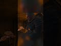 The Death of Anna Henrietta | Part 3 | The Witcher 3 Wild Hunt
