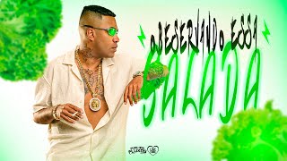 OBSERVANDO ESSA SALADA - MC Cebezinho e Dj Yuri Pedrada