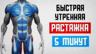 РАСТЯЖКА утром для ЗДОРОВЬЯ и ЯСНОСТИ УМА!