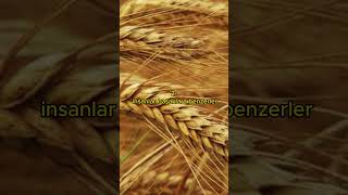 Ari̇stotelesi̇n Deri̇n Anlamli Düşündüren Sözleri̇