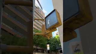 Apple Upper East Side” New York City. 74+75 St. Medison Ave. Experience Tech in a Historic Landmark: