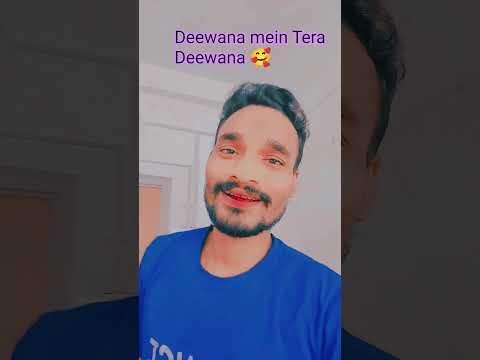 mein Tera Deewana 🥰🧝🏻‍♂️ #trending #youtubeshorts #hitcollection #song please like subscribe 🙏🏻