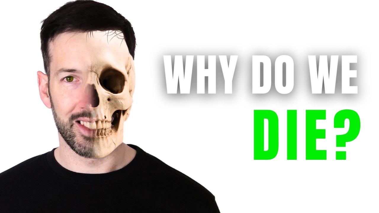 Death Is a Feature, Not a Mistake