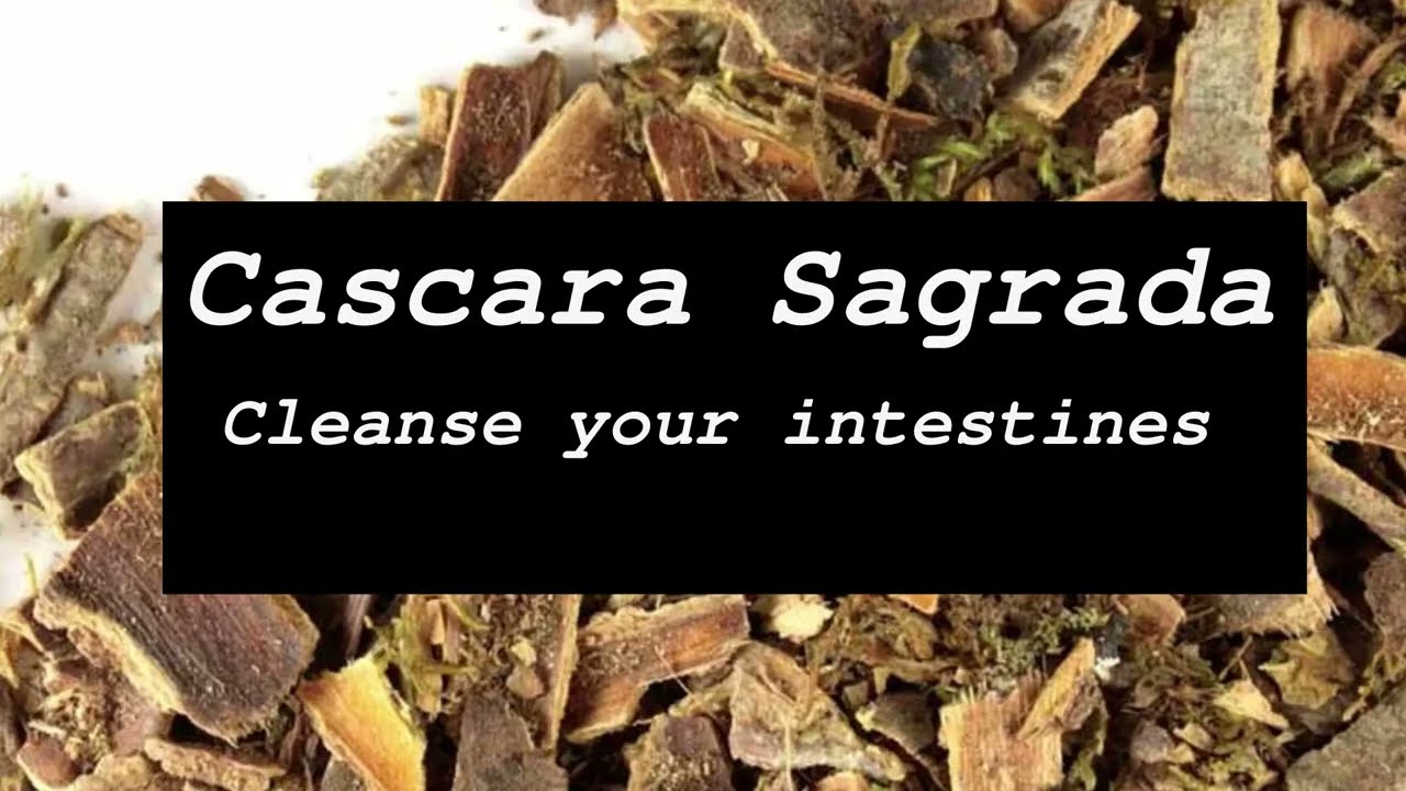 7 FANTASTIC BENEFITS OF CASCARA SAGRADA (incl. Dr. Sebi Excerpt)