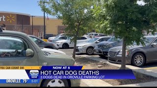 Three dogs died after being left in a hot car.