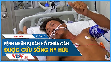 Bệnh nhân bị rắn hổ chúa cắn được cứu sống hy hữu | Tin tức VOV LIVE