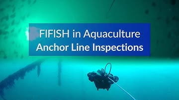 Aquaculture | Anchor Line Inspections
