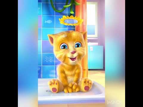 Talking Ginger SINGING a Spanish Lullaby hqdefault