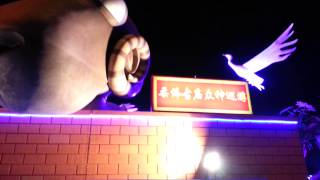 20150311 新山柔佛古庙游行。(29)