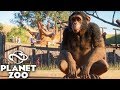 PLANET ZOO - MEU PRIMEIRO CHIPANZÉ muito BONITO!!!