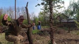 видео: ЖИВОТ НА СЕЛО: КАК СЕ ПРЕБОРИХМЕ С ГНЕЗДА НА СТЪРШЕЛИ , НЕВОЛИ С КЛАДЕНЕЦА РАБОТА ПО ДВОРА / LINE D5 картинка: ЖИВОТ НА СЕЛО: КАК СЕ ПРЕБОРИХМЕ С ГНЕЗДА НА СТЪРШЕЛИ , НЕВОЛИ С КЛАДЕНЕЦА РАБОТА ПО ДВОРА / LINE D5