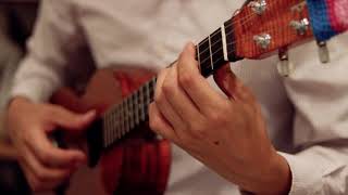 Video thumbnail of "You've Got A Friend In Me (Ukulele fingerstyle Cover)"