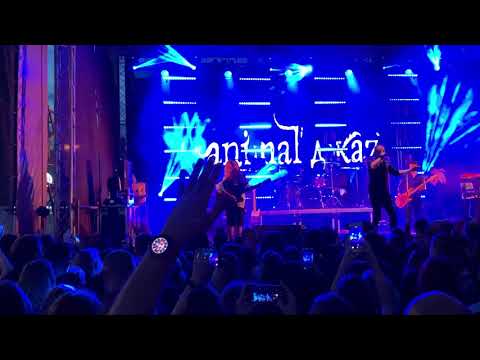 Animal Джаz — Если дышишь (live 25.07.2019)