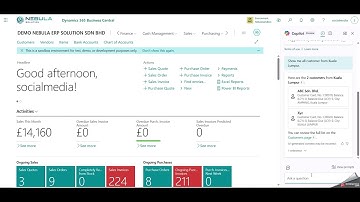 Microsoft Dynamics 365 Business Central - Copilot Feature