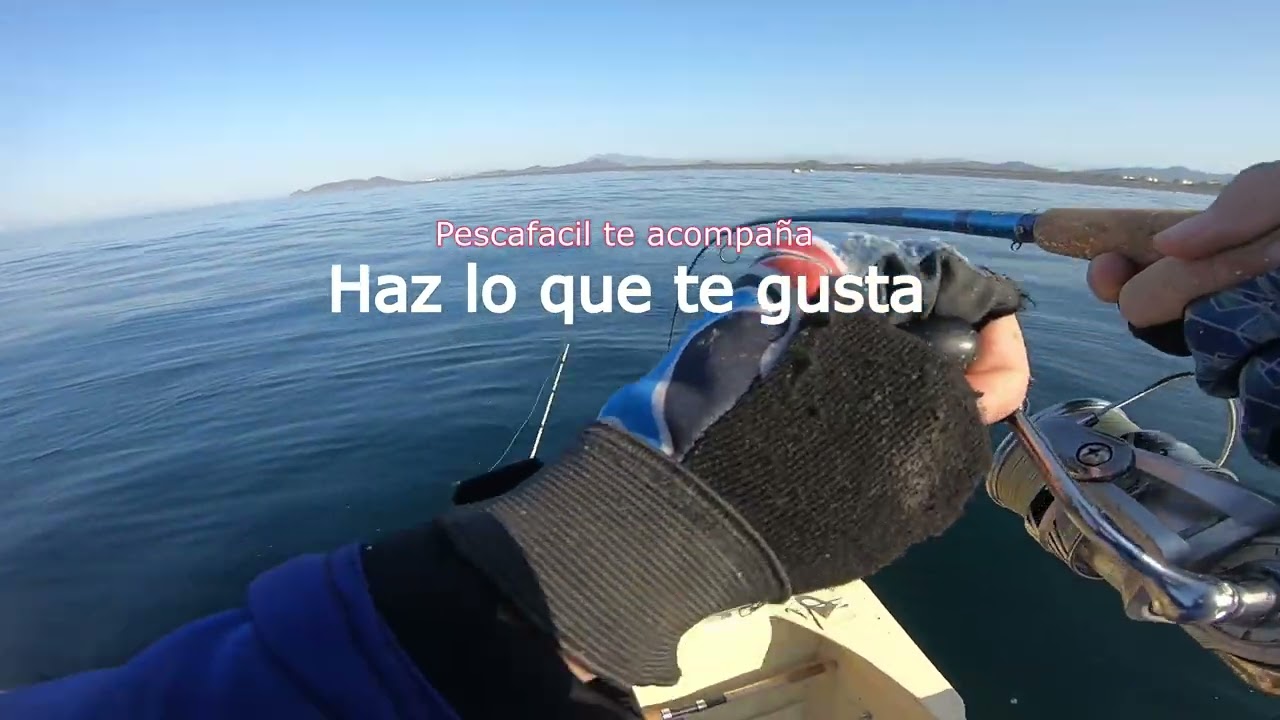 Artículos para pesca en Guadalajara, Jalisco: DE TODO PARA LA PESCA