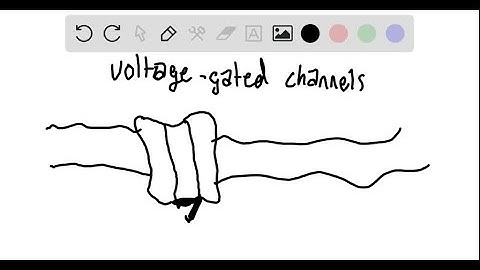 Use implicit differentiation to find an equation of the tangent line to the curve at the given poin…