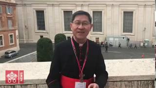 Cardinal Tagle: join a Share the Journey walk