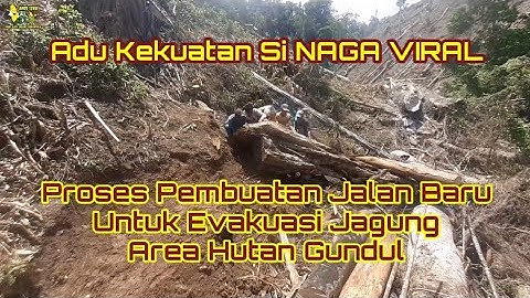 Pembuatan jalan baru lokasi curam dan terjal @Hobi_ojekjagung_gorontalo hobi ojek jagung gorontalo