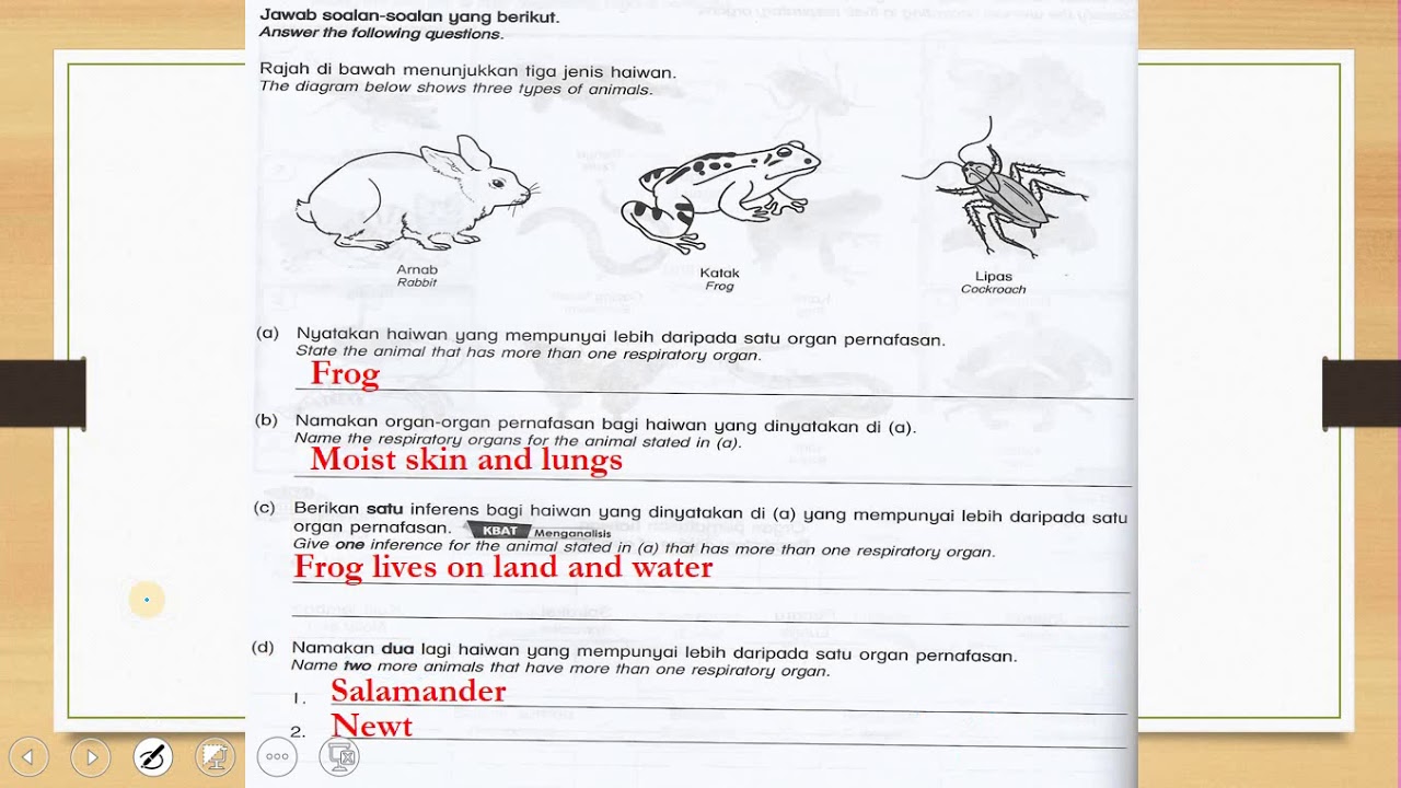 year 4 science answer scheme youtube