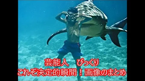 びっくり画像 Mp3 びっくり画像 Mp3