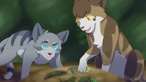 Promise Me | Leafpool PMV (Part 11)