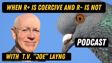 When R+ is Coercive and R- is Not. Forget Hierarchies! Behavioral Procedures are Nonlinear