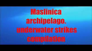 Water wolf  underwater strikes compilation: bonito, barracuda, bluefish  in Maslinica archipelago.