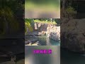 HIPPO vs CROCODILE: Who is the Fastest? #shorts