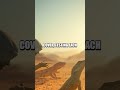 Desert Mirage Duel: Horned Lizard vs Sidewinder