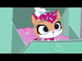 littlest pet shop can you wear a name out?
