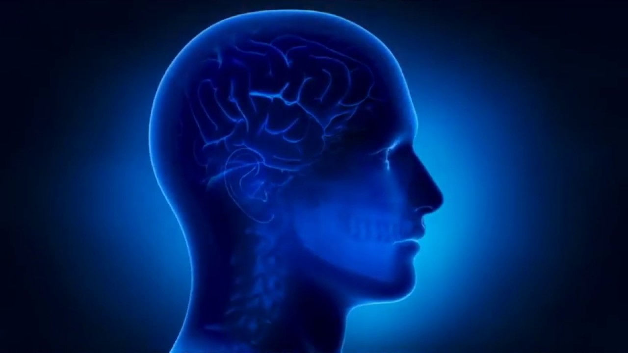 cultura general de colombia Video 1 Entre Curiosidad y Curiosidad Todos a Prosperar Mas!!!