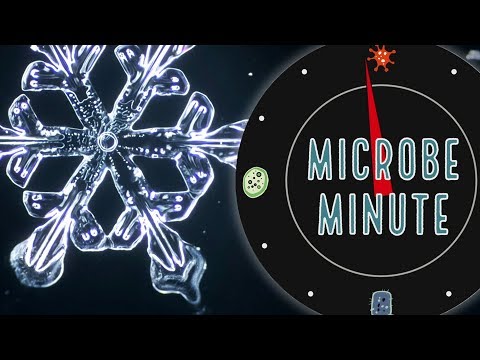 What’s in That Snowflake on Your Tongue? | Microbe Minute