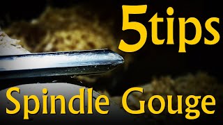 5 Technique Tips on the Spindle Gouge - Advanced Adjacent