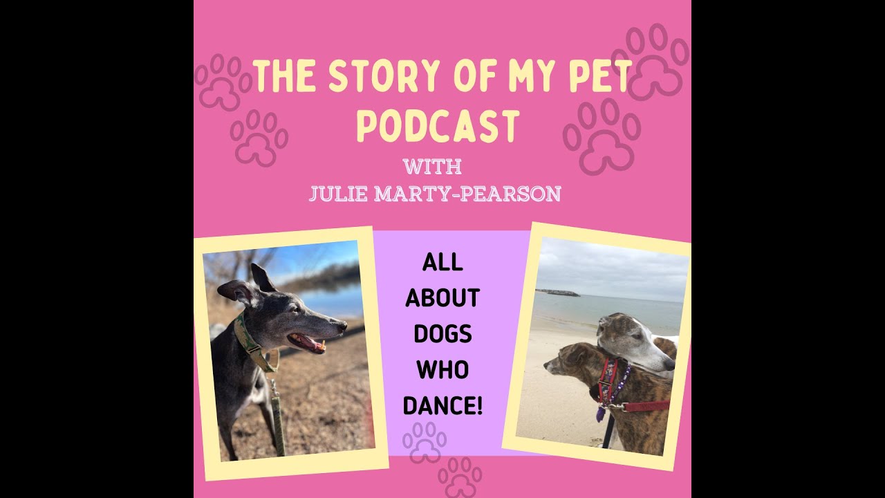All About Dogs Who Dance & Inspired a Memoir | The Story of My Pet