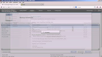 IBM TSM for VE - Individual SQL Database restore from a VM Backup