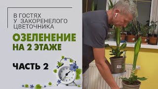 Озеленение. Порядок на 2 этаже. Часть 2 |