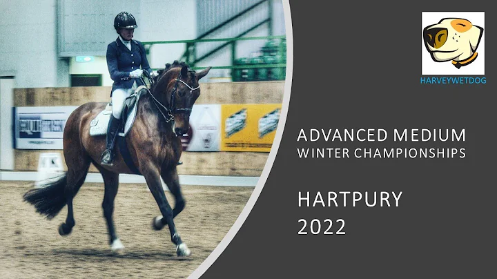 Nikki Barker and Dan Icarus: ADVANCED MEDIUM GOLD ...