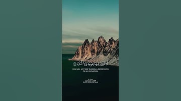 ويسئلونك عن الجبال فقل ينسفها ربي نسفا | القارئ : محمد ايوب |