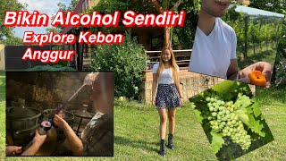 Slovakian Grape Garden - Home Made Alcohol